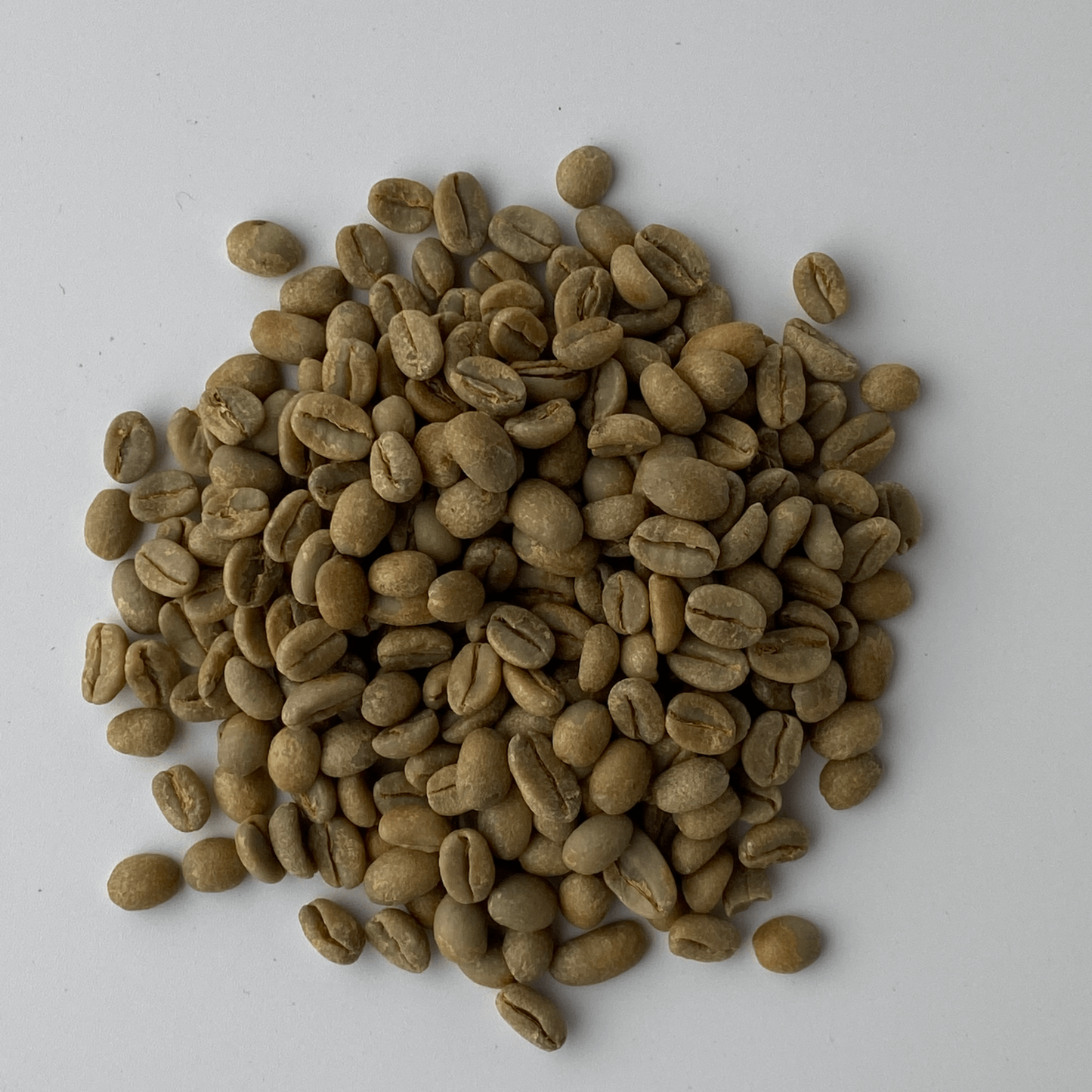 ORGANIC ETHIOPIA(オーガニック エチオピア)約200g