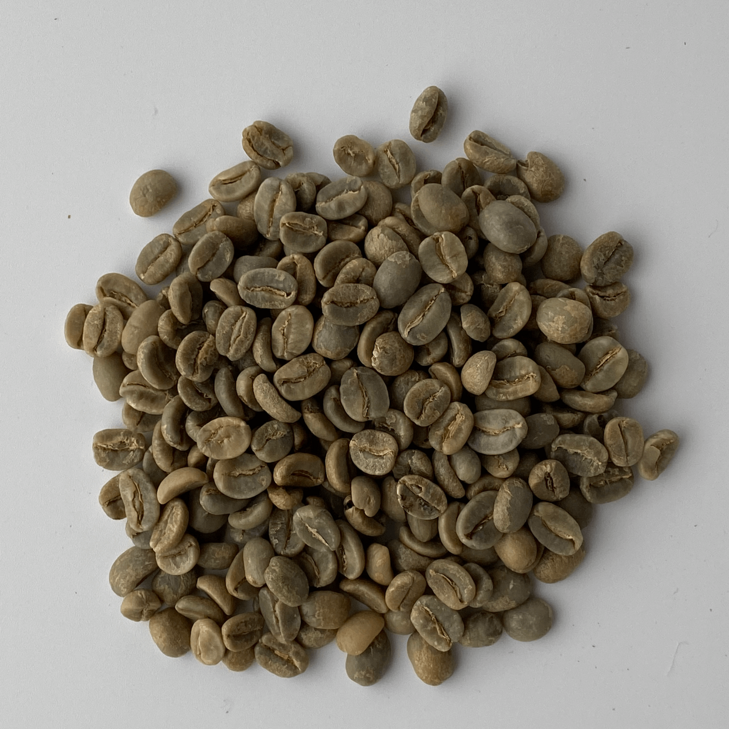 BLEND SOUTHPOINT(サウスポイントブレンド)約200g