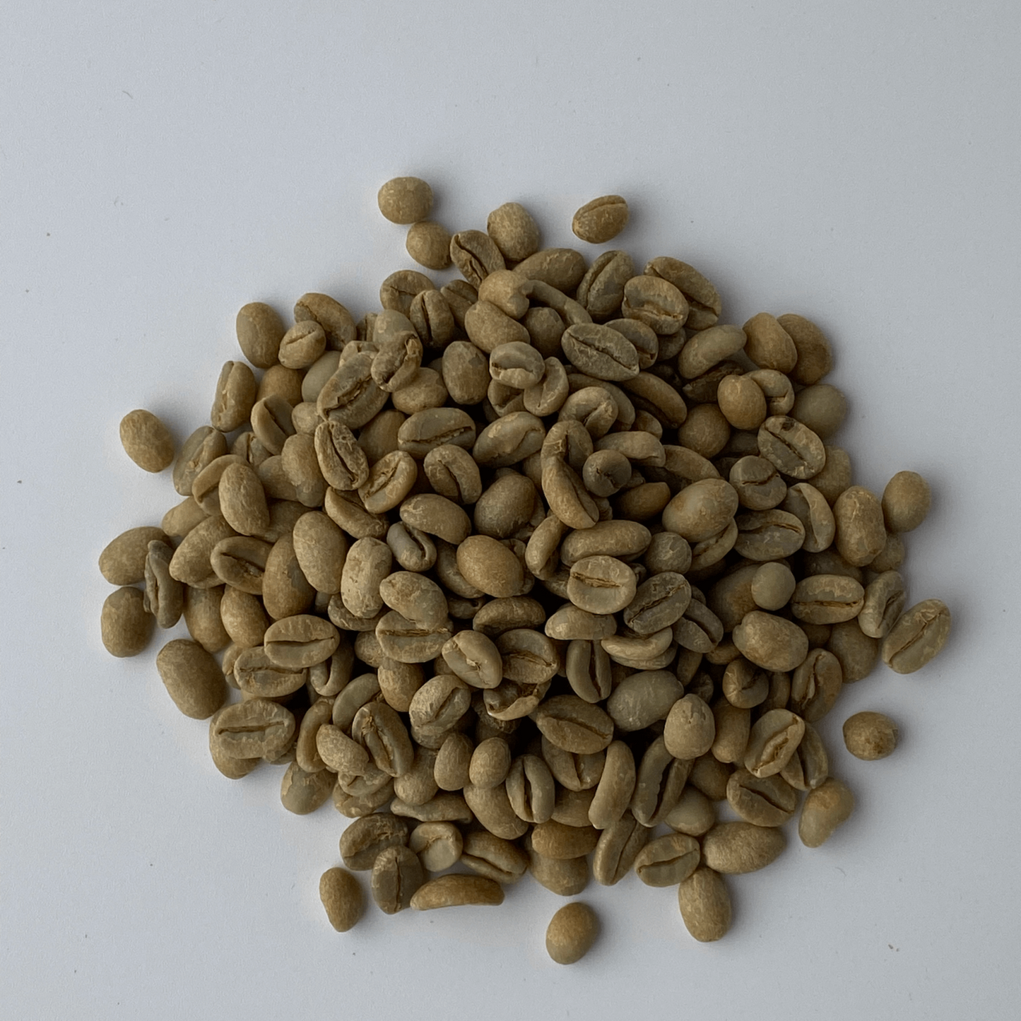 ETHIOPIA YIRGACHEFFE(エチオピア イルガチェフェ)約200g